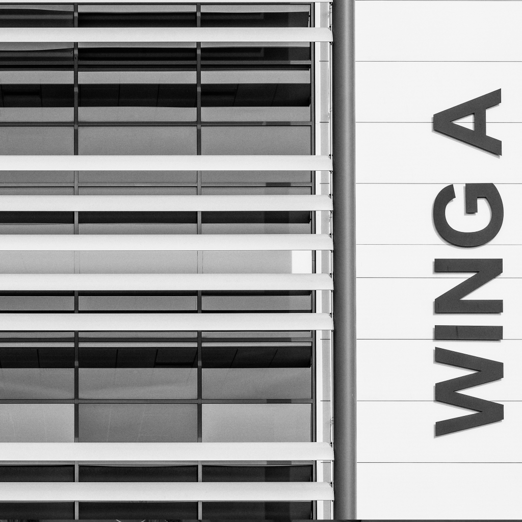 wing a